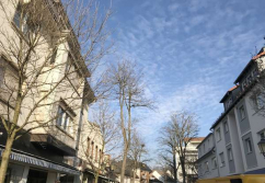 Kelkheim , Ladenlokal, Gastronomie mieten oder kaufen