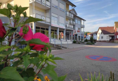 Königsbach-Stein Königsbacher Strasse, Ladenlokal, Gastronomie mieten oder kaufen