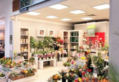 Stendal Industriestr., Ladenlokal, Gastronomie mieten oder kaufen
