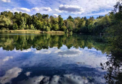 Heidesee , Ladenlokal, Gastronomie mieten oder kaufen