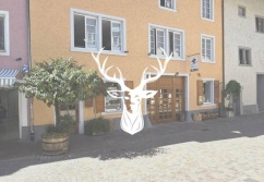 Waldshut-Tiengen Wallstraße, Ladenlokal, Gastronomie mieten oder kaufen