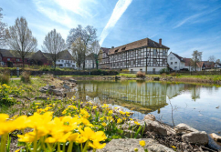 Ottenstein , Ladenlokal, Gastronomie mieten oder kaufen
