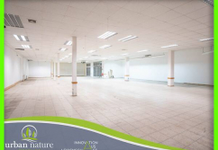 Barth , Ladenlokal, Gastronomie mieten oder kaufen