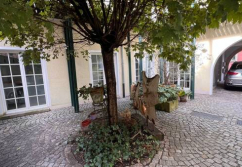 Schweinfurt Judengasse, Ladenlokal, Gastronomie mieten oder kaufen