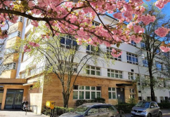 Berlin Rüsternallee, Ladenlokal, Gastronomie mieten oder kaufen