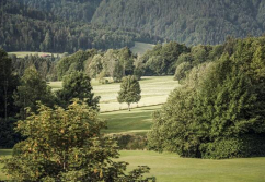 Reit im Winkl , Ladenlokal, Gastronomie mieten oder kaufen