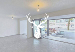 Waldshut-Tiengen , Ladenlokal, Gastronomie mieten oder kaufen