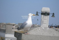 Rhauderfehn , Ladenlokal, Gastronomie mieten oder kaufen