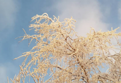 Baden-Baden , Ladenlokal, Gastronomie mieten oder kaufen
