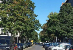 Berlin , Ladenlokal, Gastronomie mieten oder kaufen