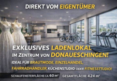 Donaueschingen , Ladenlokal, Gastronomie mieten oder kaufen