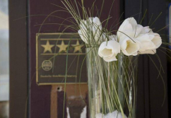 Trier , Ladenlokal, Gastronomie mieten oder kaufen