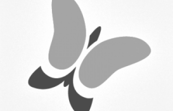 Shopunits Marketplace-Team Shopunits Marketplace-Team