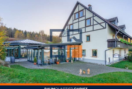 Bad Neualbenreuth , Ladenlokal, Gastronomie mieten oder kaufen