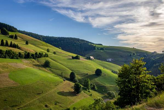Freiburg Betrieb liegt ca., Ladenlokal, Gastronomie mieten oder kaufen