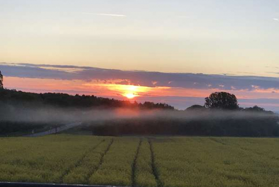 Waldalgesheim , Ladenlokal, Gastronomie mieten oder kaufen