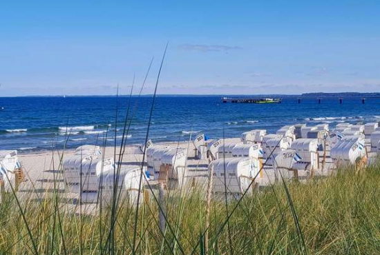 Scharbeutz , Ladenlokal, Gastronomie mieten oder kaufen