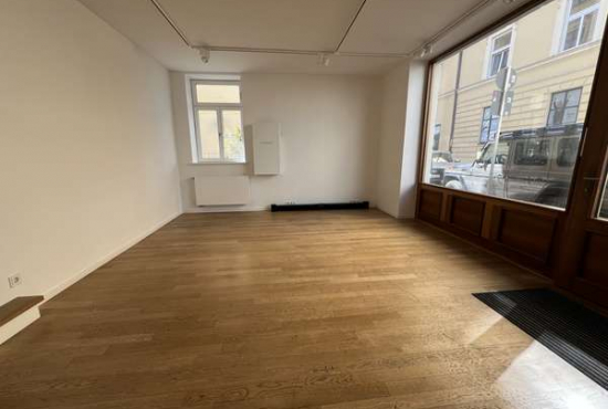 München Nähe Sendlinger Tor *, Ladenlokal, Gastronomie mieten oder kaufen