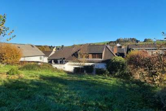 Dahlem Trierer Strasse, Ladenlokal, Gastronomie mieten oder kaufen