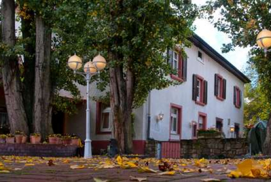 Wackernheim , Ladenlokal, Gastronomie mieten oder kaufen