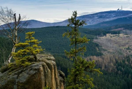 Braunlage , Ladenlokal, Gastronomie mieten oder kaufen