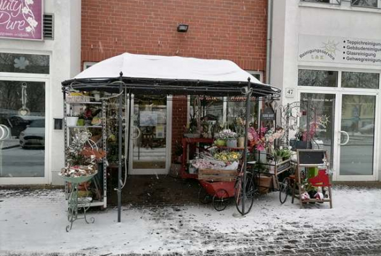 Magdeburg Große Diesdorfer Straße, Ladenlokal, Gastronomie mieten oder kaufen