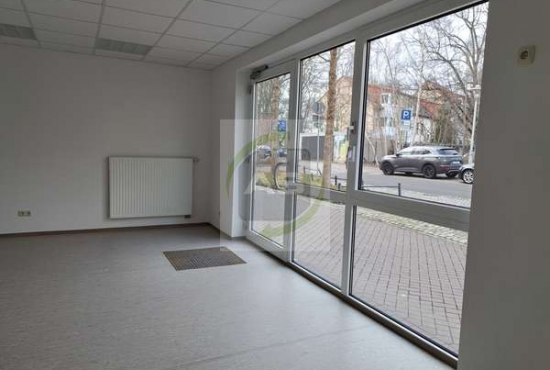 Zwickau Thomas-Mann-Straße, Ladenlokal, Gastronomie mieten oder kaufen