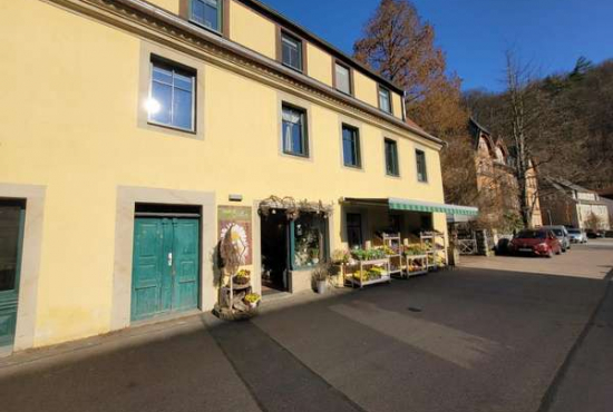 Tharandt Schillerstraße, Ladenlokal, Gastronomie mieten oder kaufen