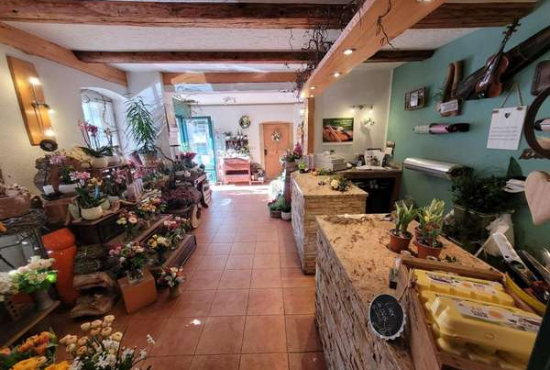 Tharandt Schillerstraße, Ladenlokal, Gastronomie mieten oder kaufen