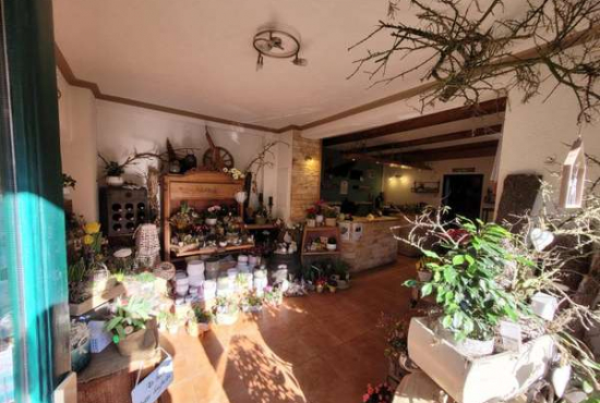 Tharandt Schillerstraße, Ladenlokal, Gastronomie mieten oder kaufen