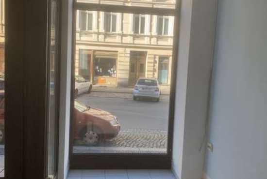 Görlitz Landeskronstr., Ladenlokal, Gastronomie mieten oder kaufen