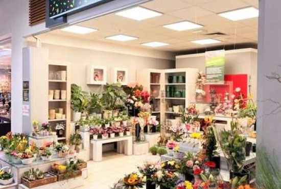 Stendal Industriestr., Ladenlokal, Gastronomie mieten oder kaufen