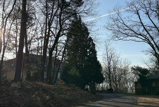 Geisenheim-Johannisberg , Ladenlokal, Gastronomie mieten oder kaufen