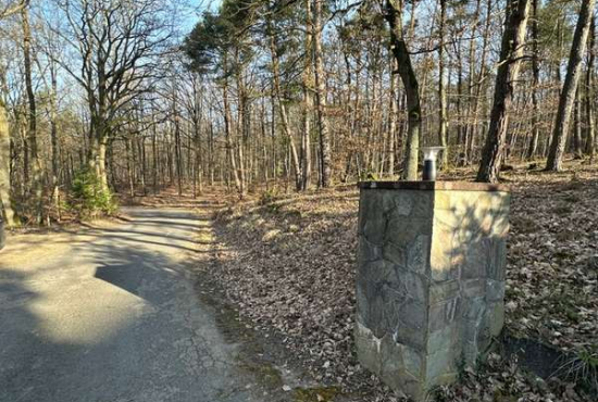Geisenheim-Johannisberg , Ladenlokal, Gastronomie mieten oder kaufen