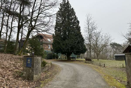 Geisenheim-Johannisberg , Ladenlokal, Gastronomie mieten oder kaufen