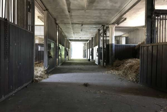 Wittstock/Dosse Berlinchener Dorfplatz, Ladenlokal, Gastronomie mieten oder kaufen
