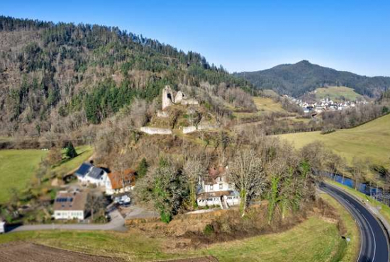 Schenkenzell Schenkenburg, Ladenlokal, Gastronomie mieten oder kaufen