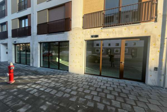 Nürnberg Maximilianstraße, Ladenlokal, Gastronomie mieten oder kaufen
