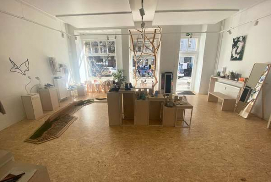 Berlin Kollwitzstraße, Ladenlokal, Gastronomie mieten oder kaufen