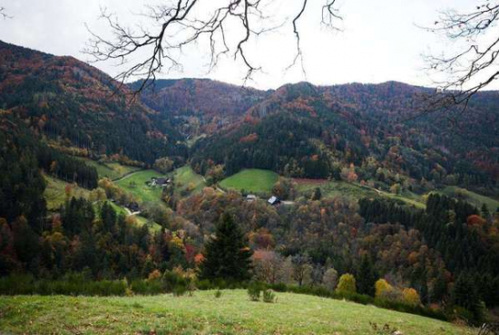 Schönwald , Ladenlokal, Gastronomie mieten oder kaufen