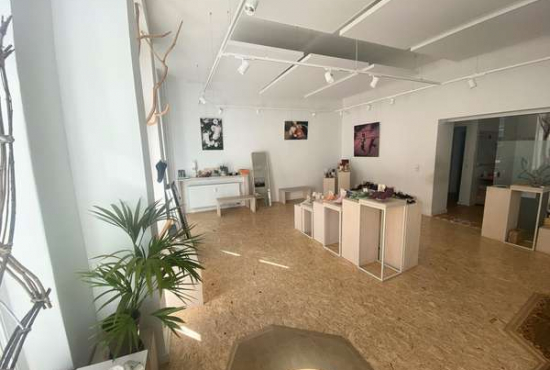 Berlin Kollwitzstraße, Ladenlokal, Gastronomie mieten oder kaufen