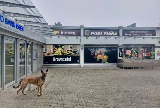 Essen Schulte-Hinsel-Straße, Ladenlokal, Gastronomie mieten oder kaufen