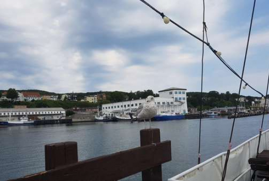 Rügen , Ladenlokal, Gastronomie mieten oder kaufen