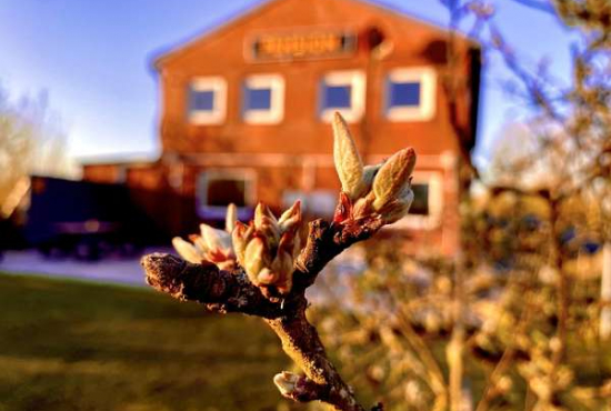 Tating Süderdeich, Ladenlokal, Gastronomie mieten oder kaufen