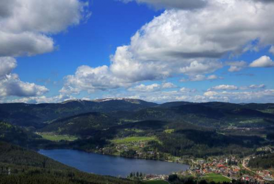 Titisee , Ladenlokal, Gastronomie mieten oder kaufen