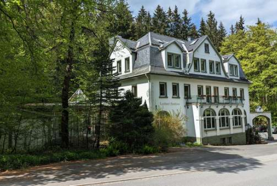 Annaberg-Buchholz Schneeberger Straße, Ladenlokal, Gastronomie mieten oder kaufen