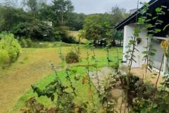 Baden-Baden , Ladenlokal, Gastronomie mieten oder kaufen