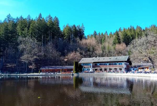 Straßlach-Dingharting Deininger Weiher, Ladenlokal, Gastronomie mieten oder kaufen