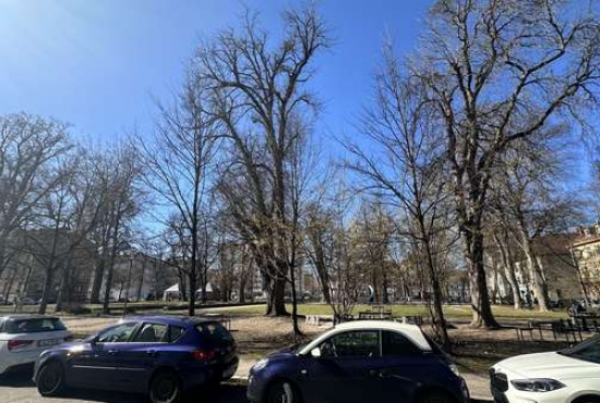 Ulm Zeitblomstraße, Ladenlokal, Gastronomie mieten oder kaufen