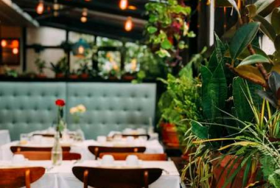 Dresden , Ladenlokal, Gastronomie mieten oder kaufen